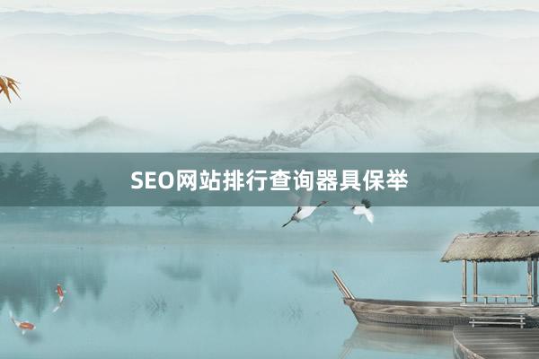 SEO网站排行查询器具保举