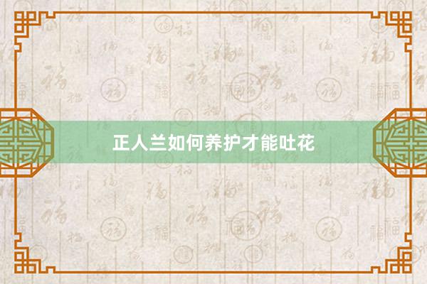 正人兰如何养护才能吐花