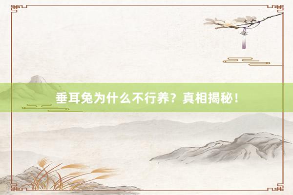 垂耳兔为什么不行养?真相揭秘!
