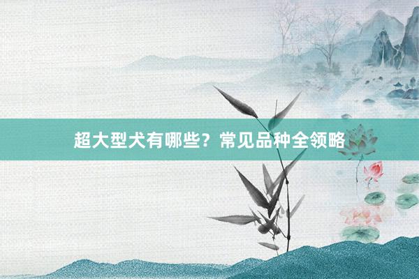 超大型犬有哪些？常见品种全领略