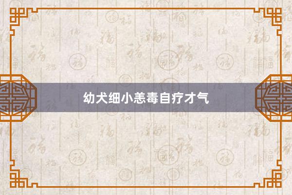 幼犬细小恙毒自疗才气