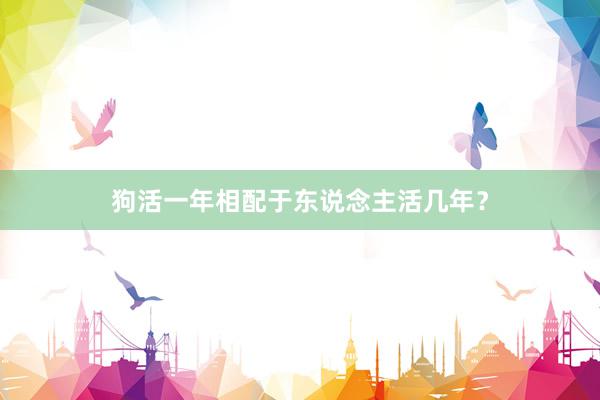 狗活一年相配于东说念主活几年？