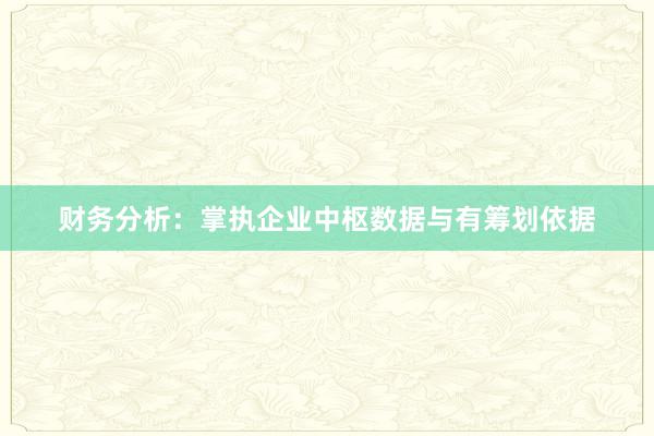 财务分析：掌执企业中枢数据与有筹划依据